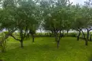 Nógrád megye - Kányáspuszta
